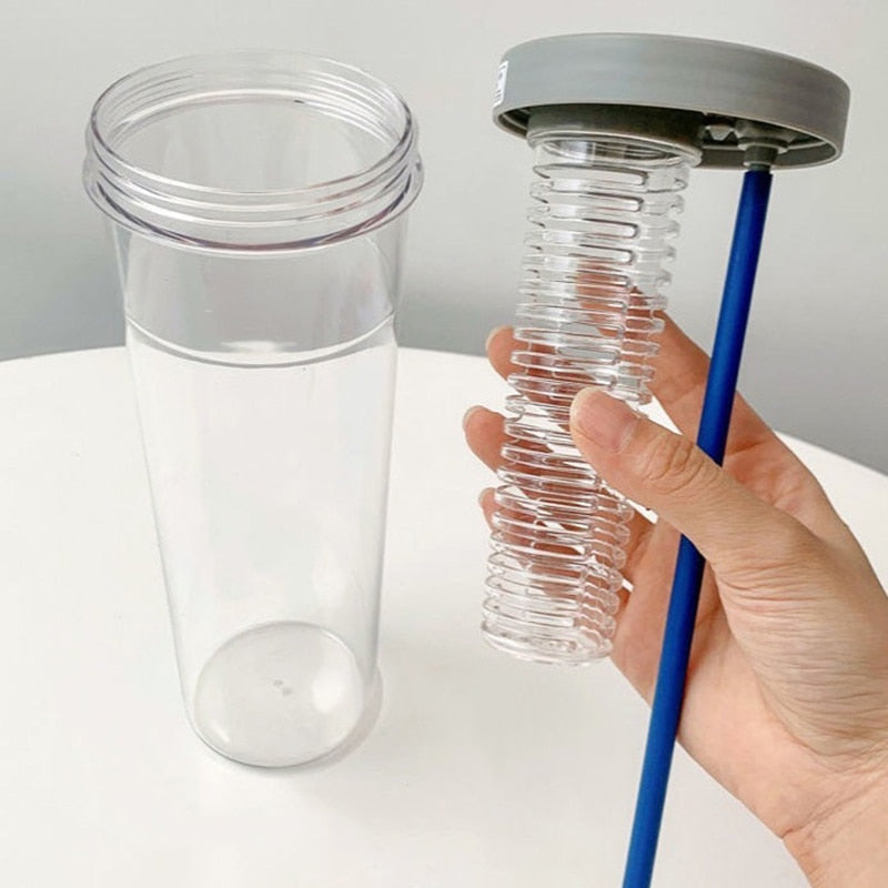 Fruits Filter Water Bottle with Straw